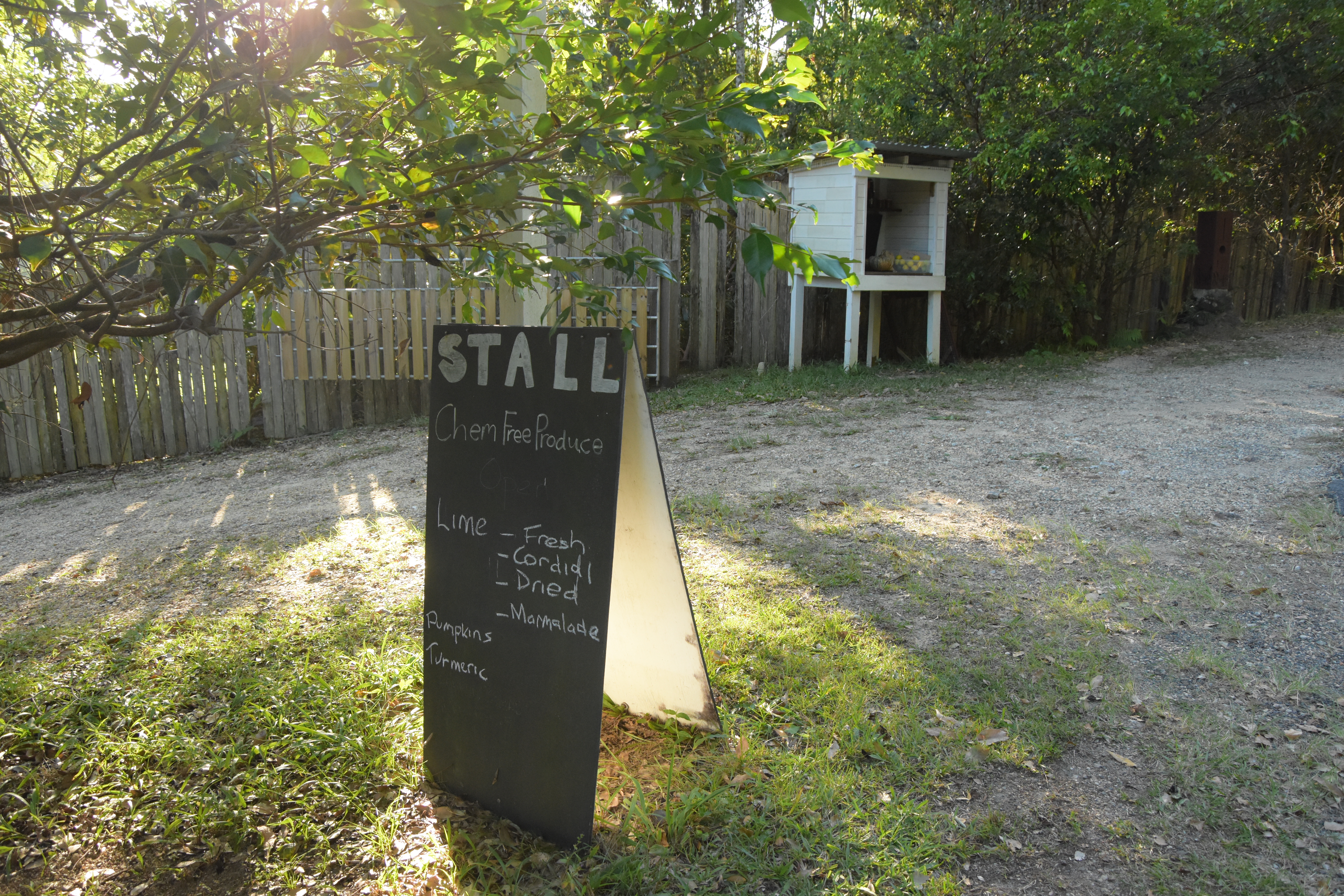 image1